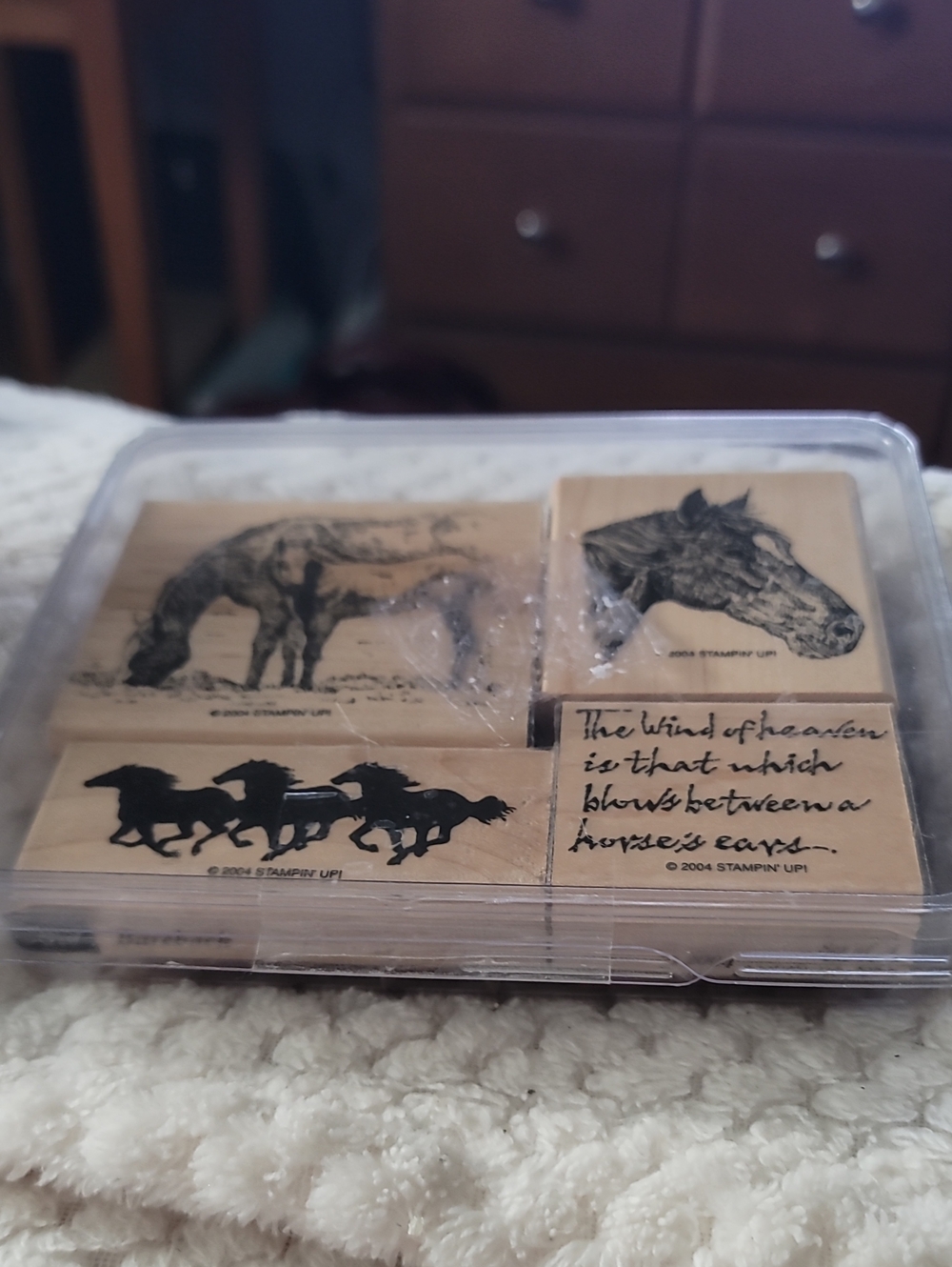 STAMPIN' UP! BAREBACK stamp set 2004 RETIRED RARE Horse Pony Bare Back Ranch.